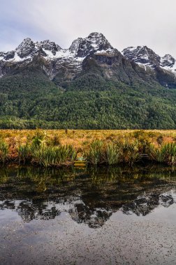 Ayna göl üzerinde Milford Road, Yeni Zelanda