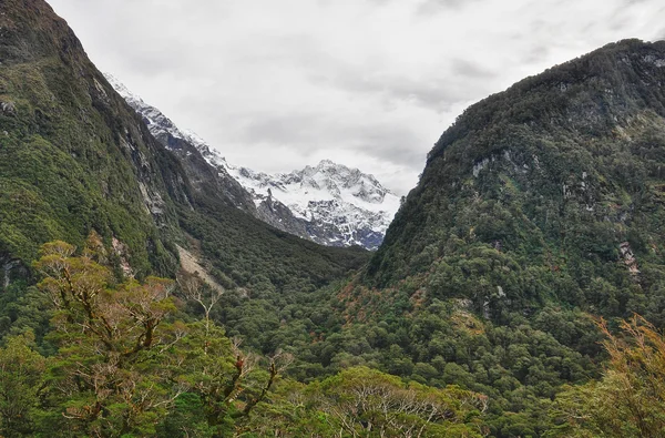 Шторм в долине на Милфорд Роуд, Новая Зеландия — стоковое фото