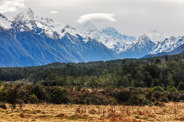 Pré et sommets enneigés sur Milford Road, Nouvelle-Zélande — Photo