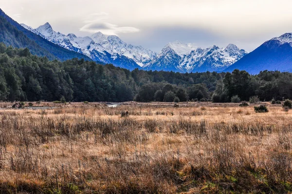 Meadow and snowy peaksd on Milford Road, New Zealand — Stock Photo, Image