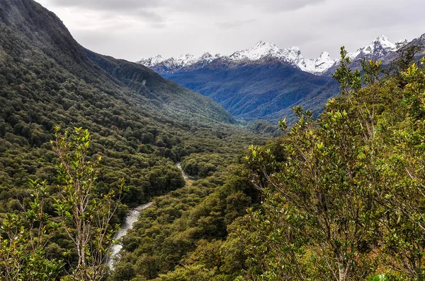 Stream nella valle su Milford Road, Nuova Zelanda — Foto Stock