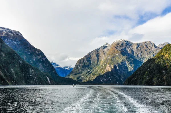 Eintritt in den Fjord im Milford-Sound, Neuseeland — Stockfoto