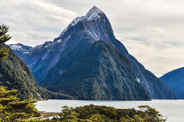 Majestätische Gehrungsspitze im Milford-Sound, Neuseeland — Stockfoto