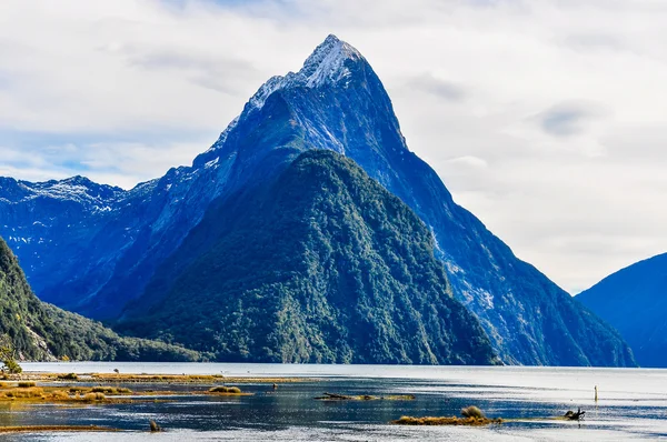 Gehrungsspitze aus der Nähe im Milford-Sound, Neuseeland — Stockfoto