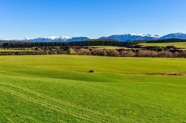 Grüne Felder und Berge auf Südinsel, Neuseeland — Stockfoto