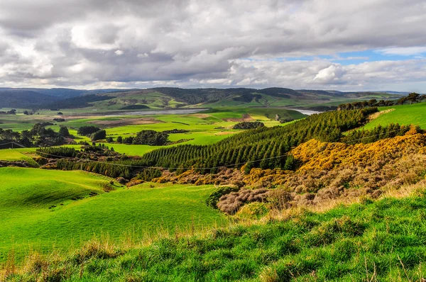 På landsbygden nära Slope Point, Nya Zeeland — Stockfoto