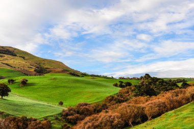 Kırsal manzara Catlins, Yeni Zelanda