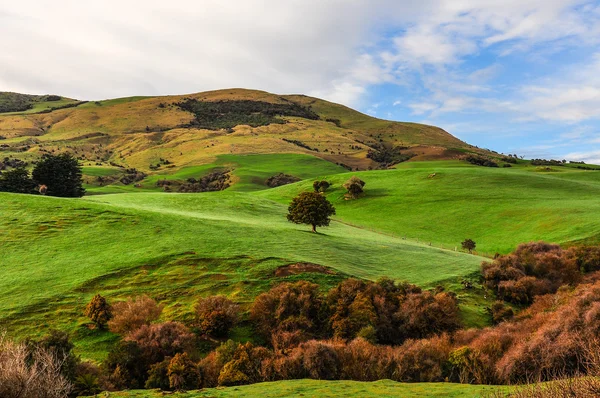 Rural landscape in the Catlins, New Zealand — Stock Photo, Image