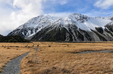 Fahişe parça Aoraki/Mount Cook Milli Parkı, Yeni Zelanda