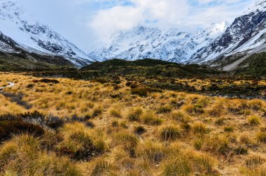Fahişe parça Aoraki/Mount Cook Milli Parkı, Yeni Zelanda