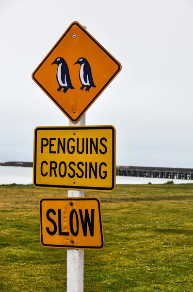 Pinguins Crossing Sign in Oamaru, Nova Zelândia — Fotografia de Stock