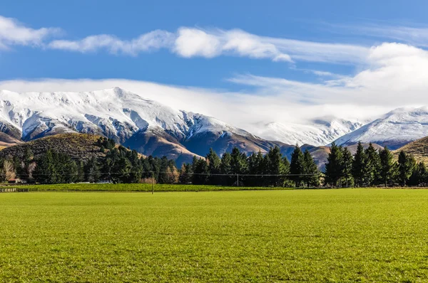 Pics enneigés près du lac Tekapo, Nouvelle-Zélande — Photo