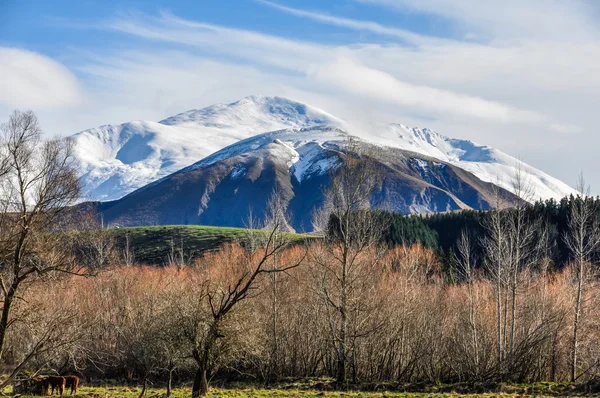 Picos nevados perto do Lago Tekapo, Nova Zelândia — Fotografia de Stock