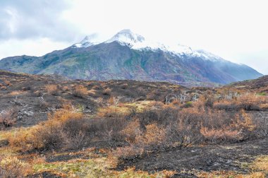 Torres del Paine Ulusal Parkı, Patagonya, Şili