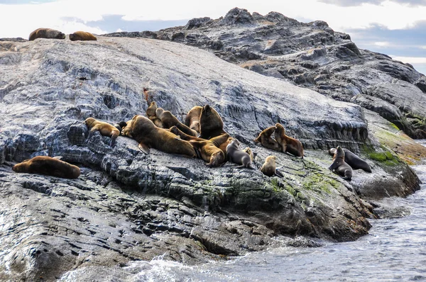 Beagle Channel, Ushuaia, Argentina — Stockfoto