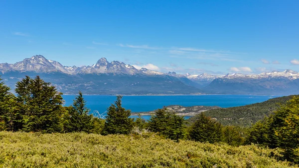 Nationaalpark Tierra del Fuego, Ushuaia, Argentinië — Stockfoto
