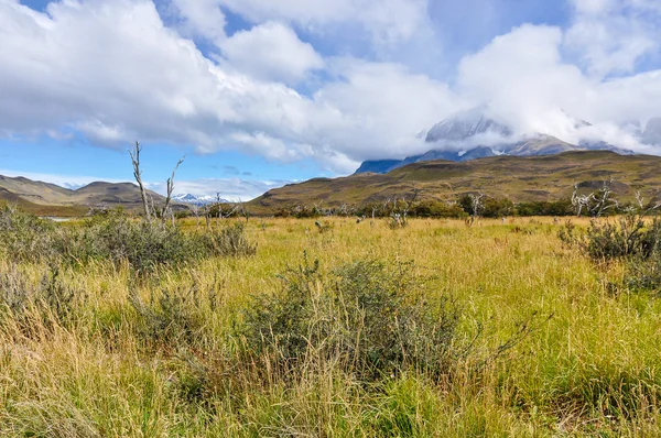 Torres Del Paine Ulusal Parkı, Şili — Stok fotoğraf