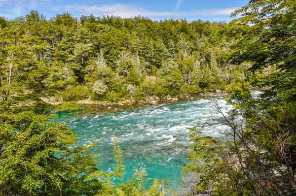 Rzeka, Alerces National Park, Argentyna — Zdjęcie stockowe