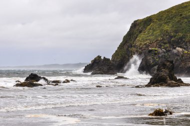 Beach, Ancud, Chiloe Adası, Şili