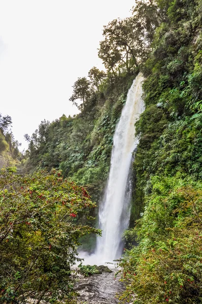 Wodospad, wyspa Chiloe, Chile — Zdjęcie stockowe