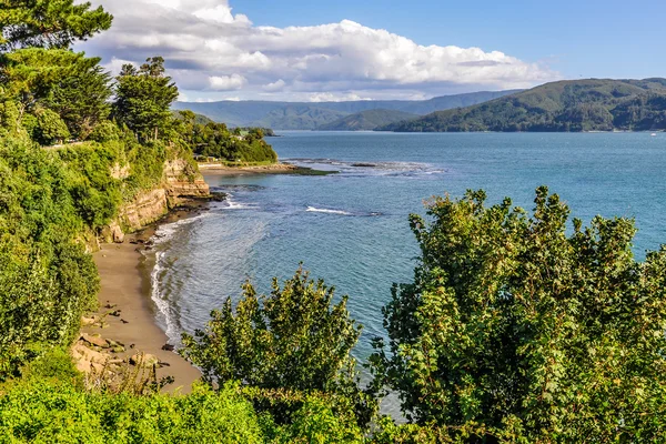 Seaside in Niebla, Valdivia, Chile — Stock Photo, Image