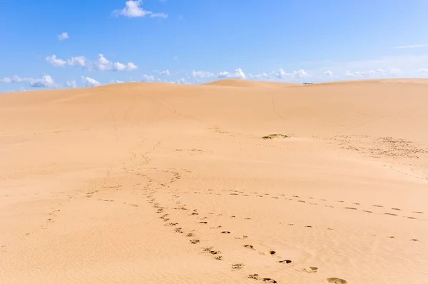 Dunes de sable en Cabo Polonio, Uruguay — Photo