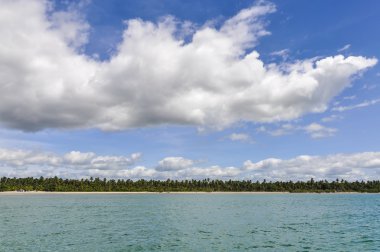 Plaj manzarası Morro de Sao Paulo, Salvador, Brezilya