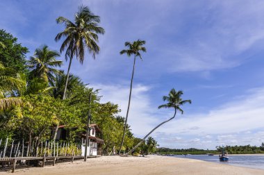 Boipeba Island Beach, Morro de Sao Paulo, Salvador, Brezilya