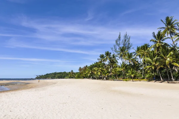 Boipeba island beach, morro de sao paulo, salvador, brasilien — Stockfoto