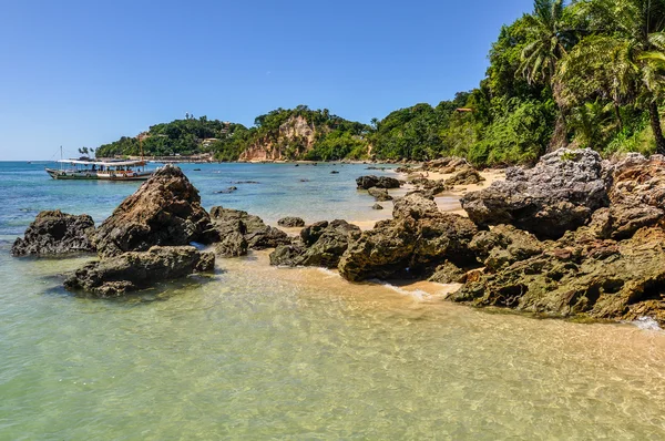 Gamboia Beach Morro de Sao Paulo, Brezilya