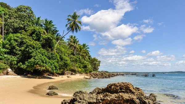 Gamboia Beach Morro de Sao Paulo, Brezilya