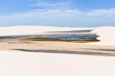 Lagün Lencois Maranheses, Brezilya