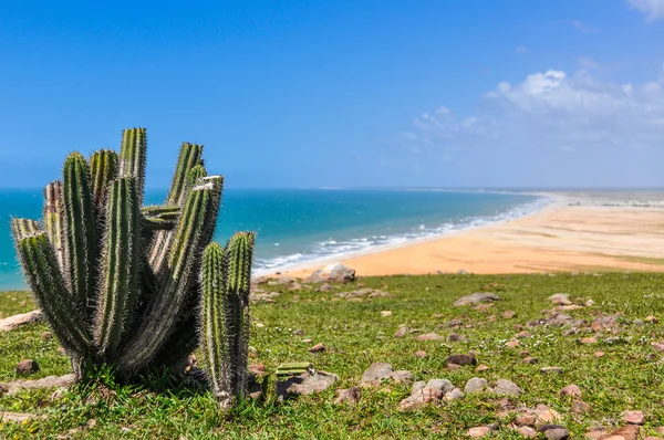 Jericoacoara, Brezilya kıyılarına görünümü