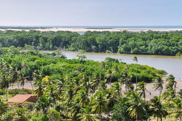 Blick auf Madacaru in lencois maranheses, Brasilien — Stockfoto