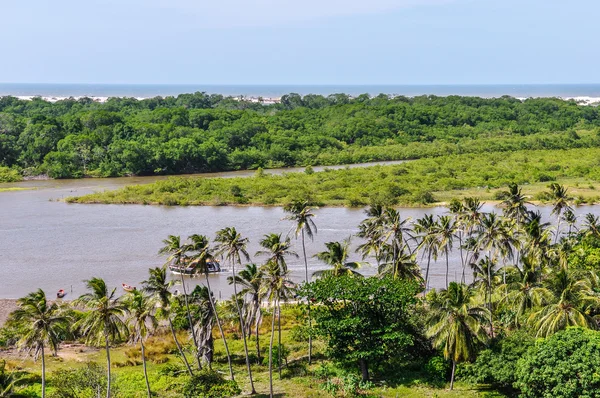 Blick auf Madacaru in lencois maranheses, Brasilien — Stockfoto