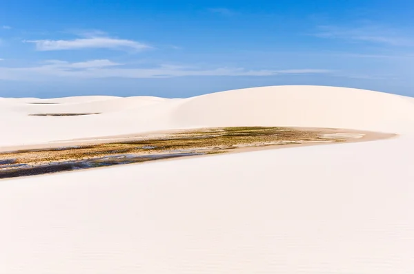 沙 Maranheses，巴西的潟湖 — 图库照片