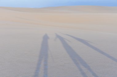 Lencois Maranheses, Brezilya'da Lencois Maranheses, sutyen gölgelerde