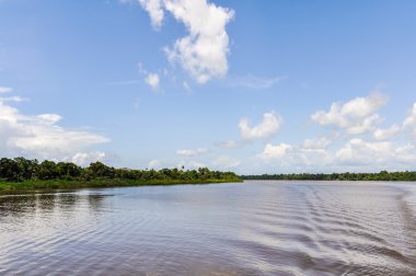 Amazon Nehri üzerinde Brezilya akan