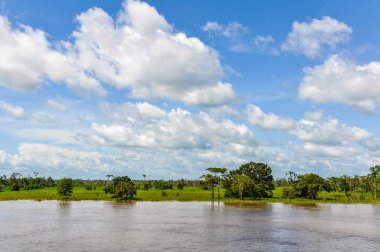 Longozun Brezilya Amazon Nehri üzerinde