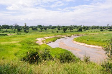 Tarangire Park, Tanzanya için adını veren Nehri