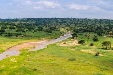 View of the river in the Tarangire Park, Tanzania clipart