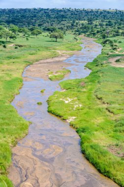 Tarangire Park, Tanzanya Nehri'nin görünümü