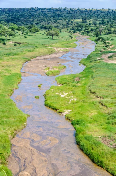 Άποψη του ποταμού στο πάρκο Tarangire της Τανζανίας — Φωτογραφία Αρχείου
