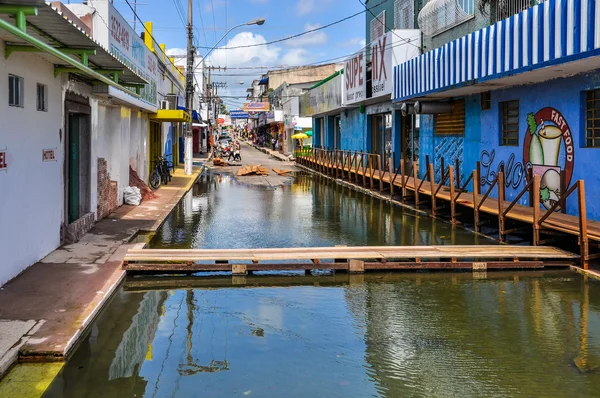 Затоплена міста Santarem в тропічних лісів Амазонки, Бразилія — стокове фото