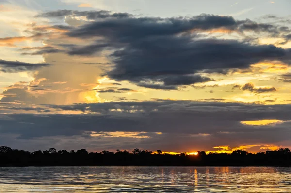 Tramonto nella foresta amazzonica, Manaos, Brasile — Foto Stock