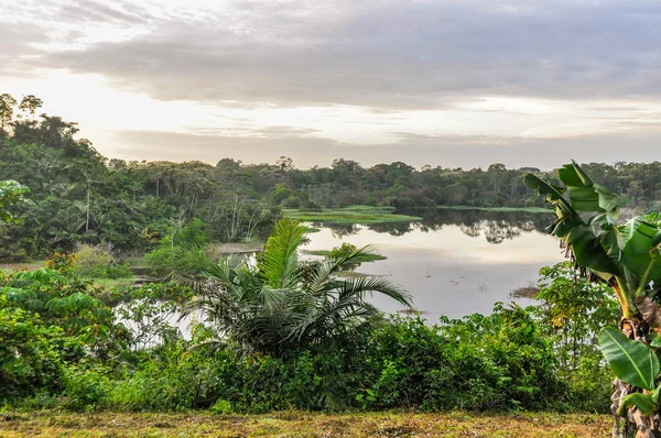 Manaos, Brezilya Amazon yağmur ormanları gölde görünümünü — Stok fotoğraf