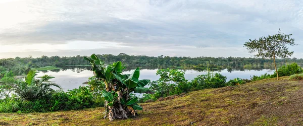 Widok na jezioro w dżungli amazońskiej, Manaos, Brazylia — Zdjęcie stockowe