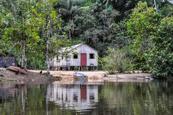 Cabana solitária na Floresta Amazônica, Manaos, Brasil — Fotografia de Stock