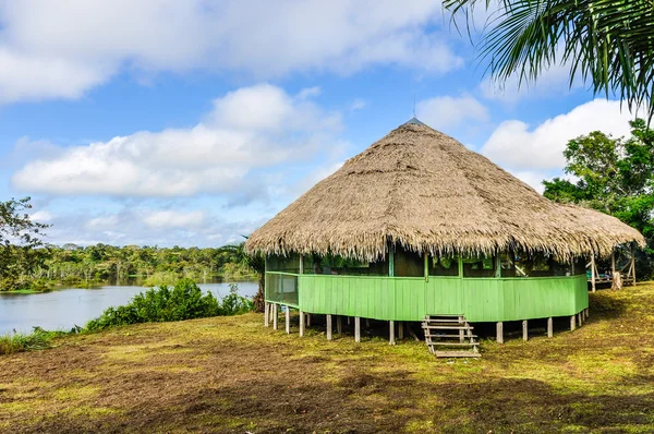 Malá chata v amazonského deštného pralesa, Manaos, Brazílie — Stock fotografie