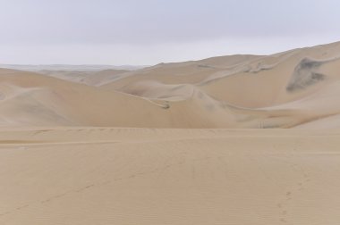 Kum tepeleri Huacachina çölde, Peru
